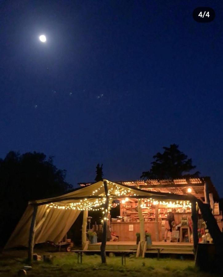 Cabin Westerlands Selham 外观 照片
