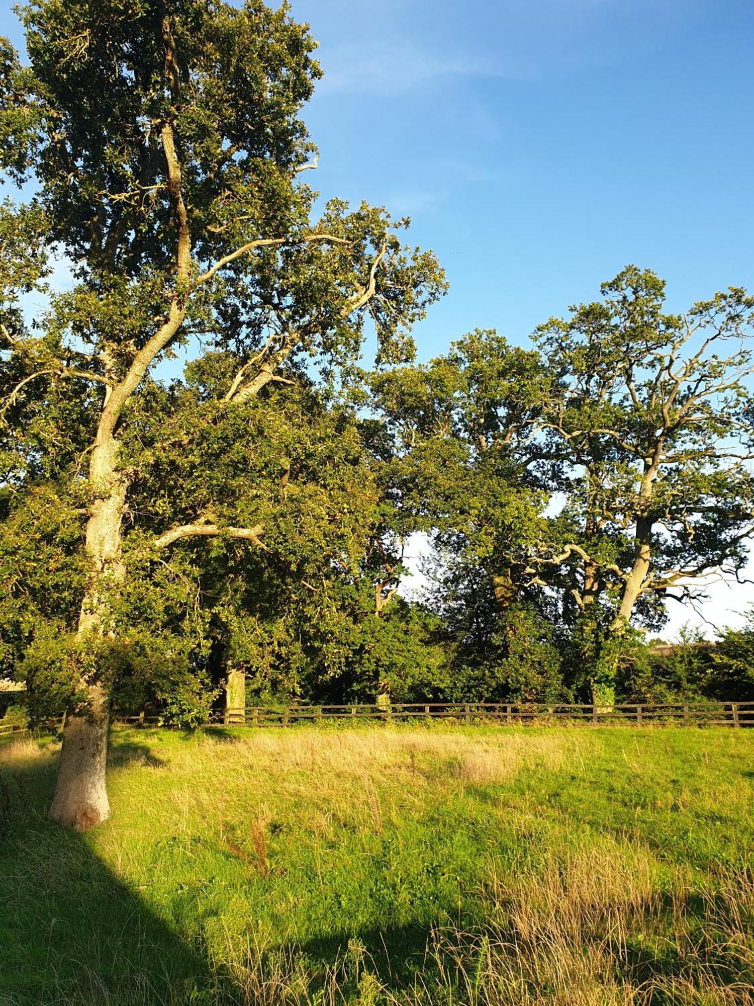 Cabin Westerlands Selham 外观 照片